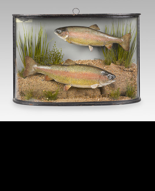 Flyfishers Club Case Study